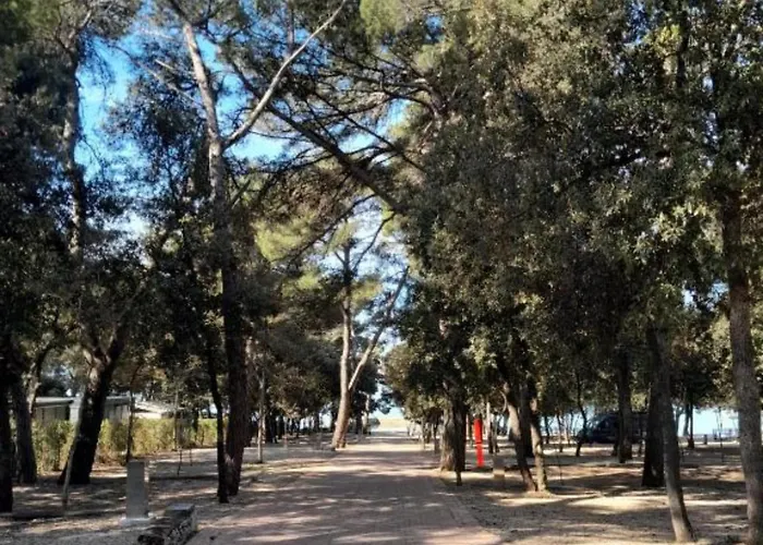 Mobile Laguna *